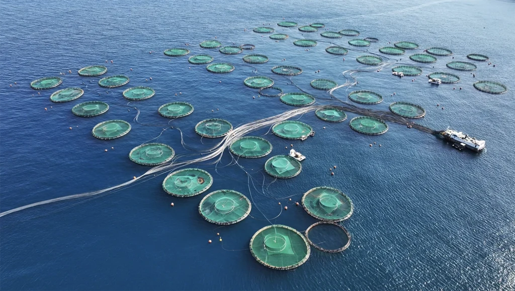 fish farming cables